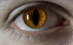 955298c0aa9448640e9e633f166df549.jpg