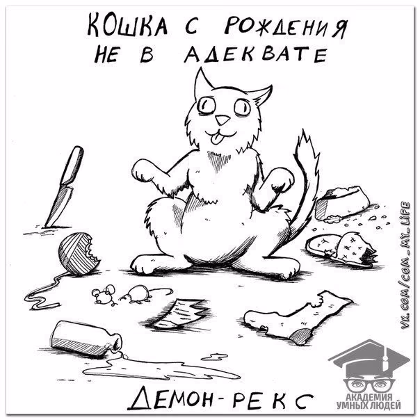 9553461fd3064a03958383cdea918aa9.avif