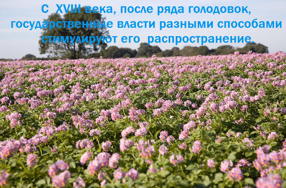 9554321e7ae8343c0c4ad0c640d004a3.avif