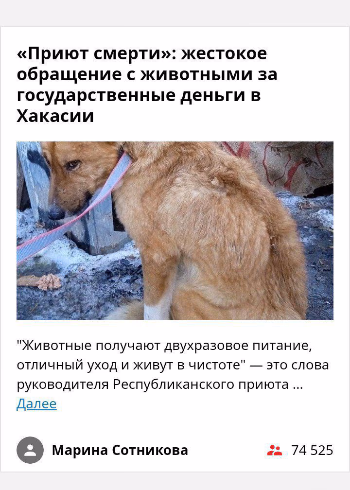 955622c70575a0db0e0eca7f2bf09492.avif