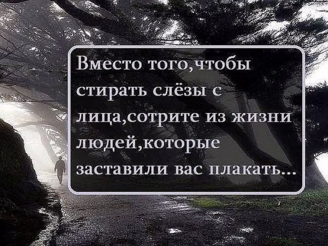956b3b228c44336caaa3bacefe5273bc.avif