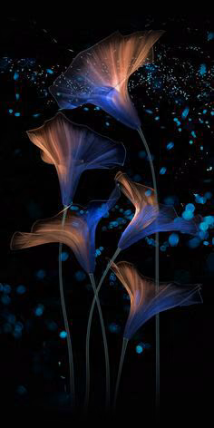 956f113635358b5fa7ea9340093a618d.avif