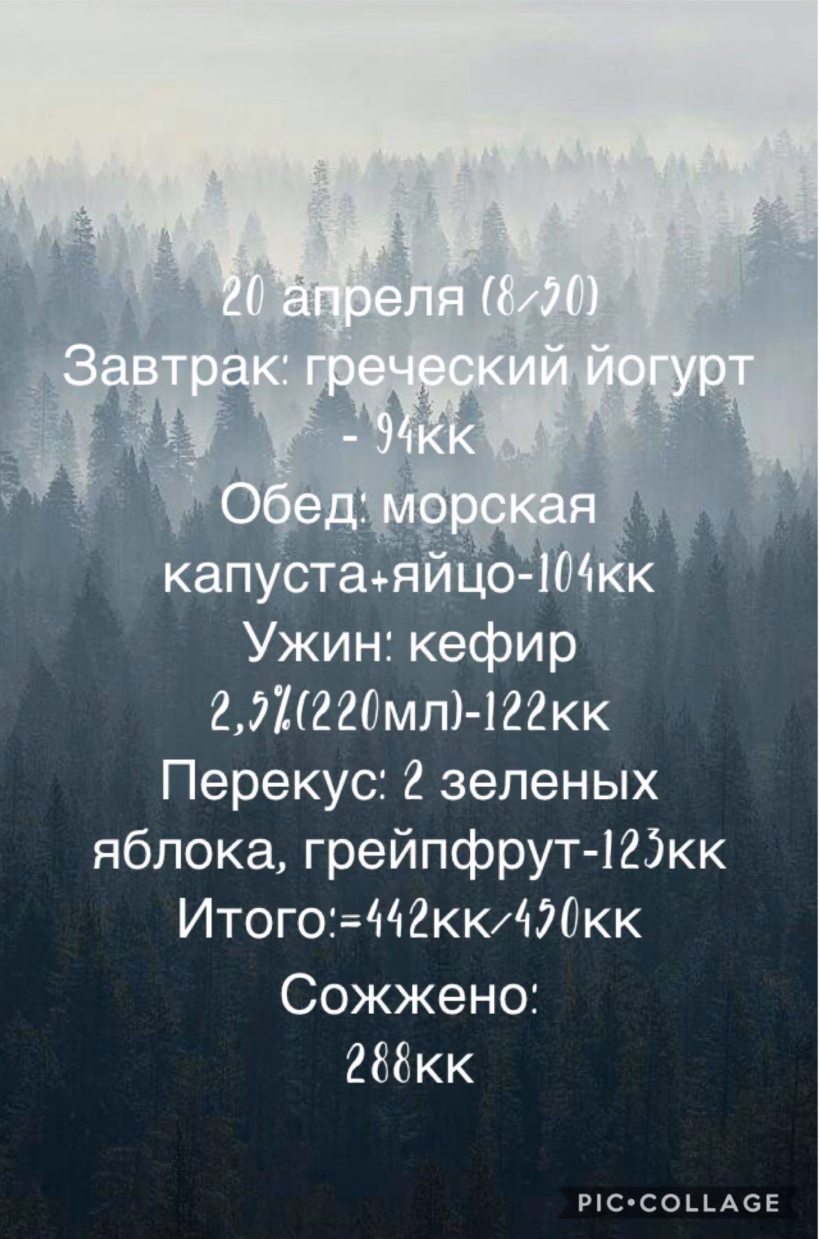 957f9a3477afd4af18ba4ded4867831b.jpg