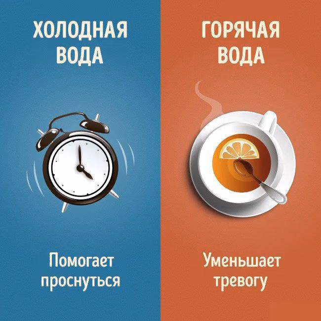 9585b63ba42744857f8d1ac3df67ef7c.avif