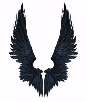 958bd7a97163b943b650db2c63ed50aa.avif