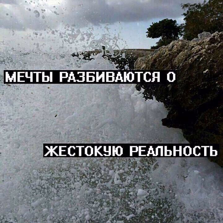 95a83dde66f6a66bb9d9df9e5b31f281.avif
