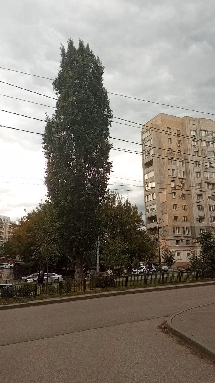 95aab994673d66fb0f87411546dda19c.avif