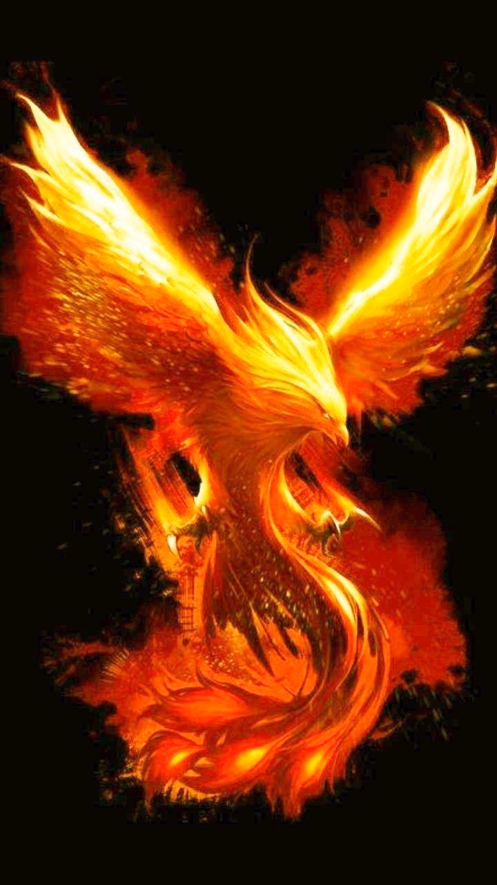 95b8af6e054223875e52b40903a11323.avif