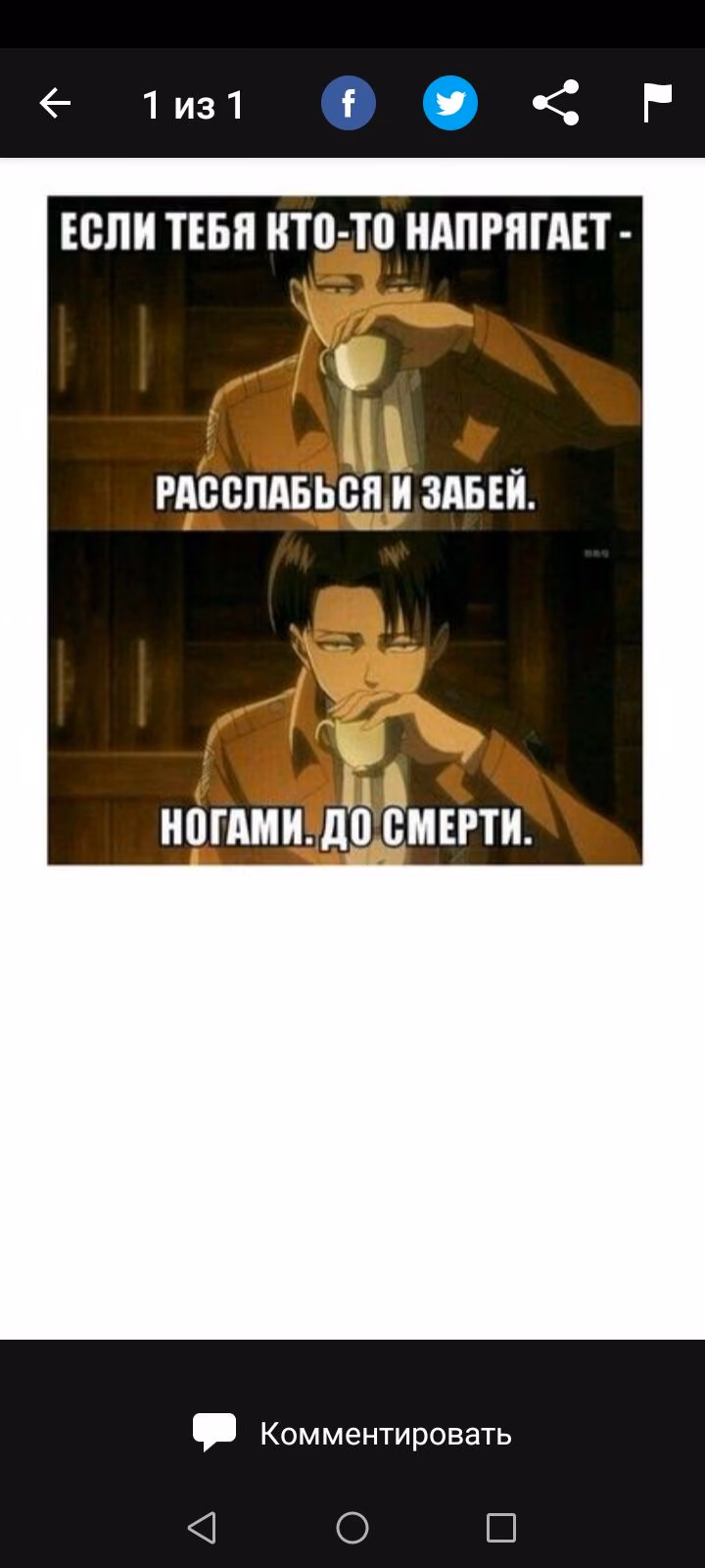 95bb06ab402fa77d8455be10ea442218.avif