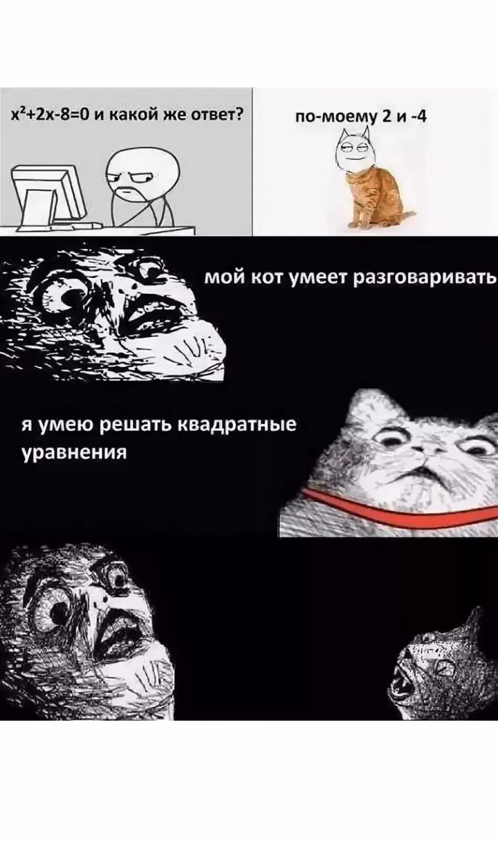 95bb5e8d4b702fa8b0030060ec97c5ac.jpg