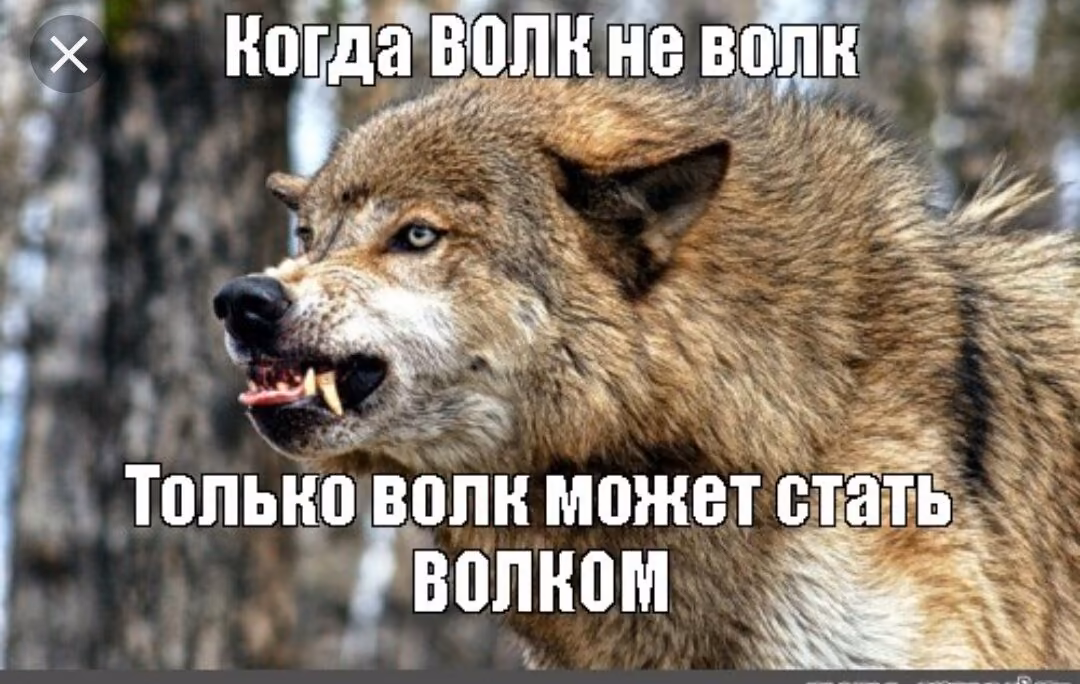 95c172219dc7dd967547c0b7552efde5.jpg