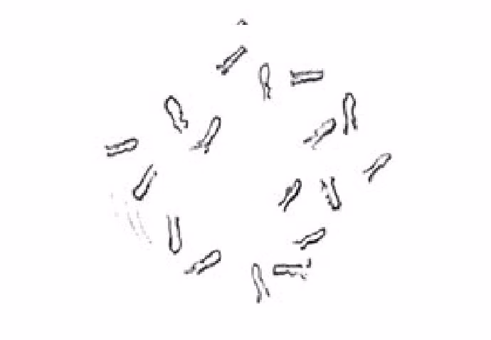 95c8be490a92b91a583f5c4b40de9e0e.jpg