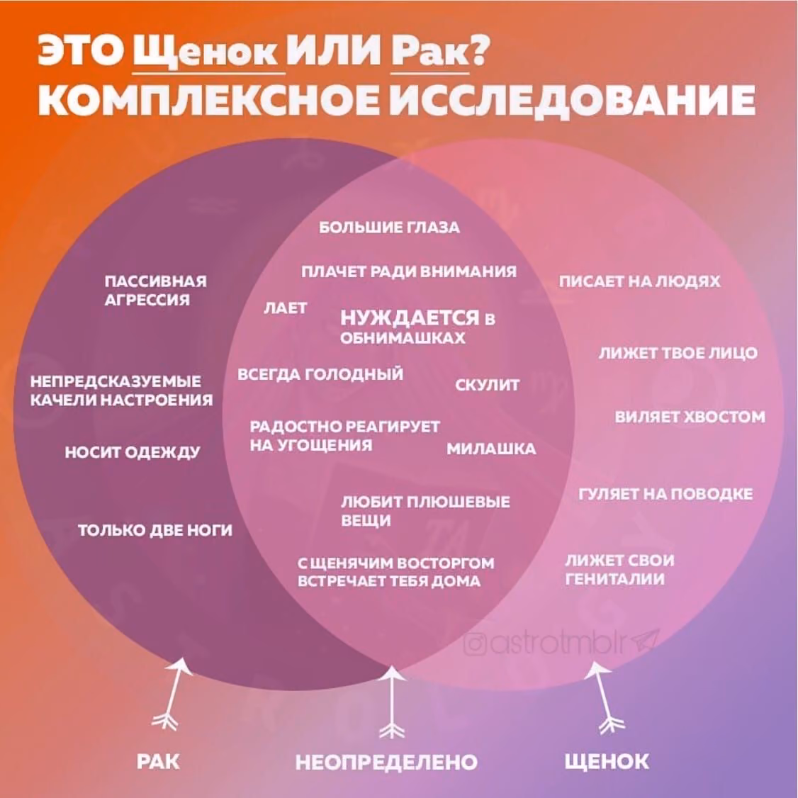 95c9c6887a16e21a06b0d9f614c26b85.avif