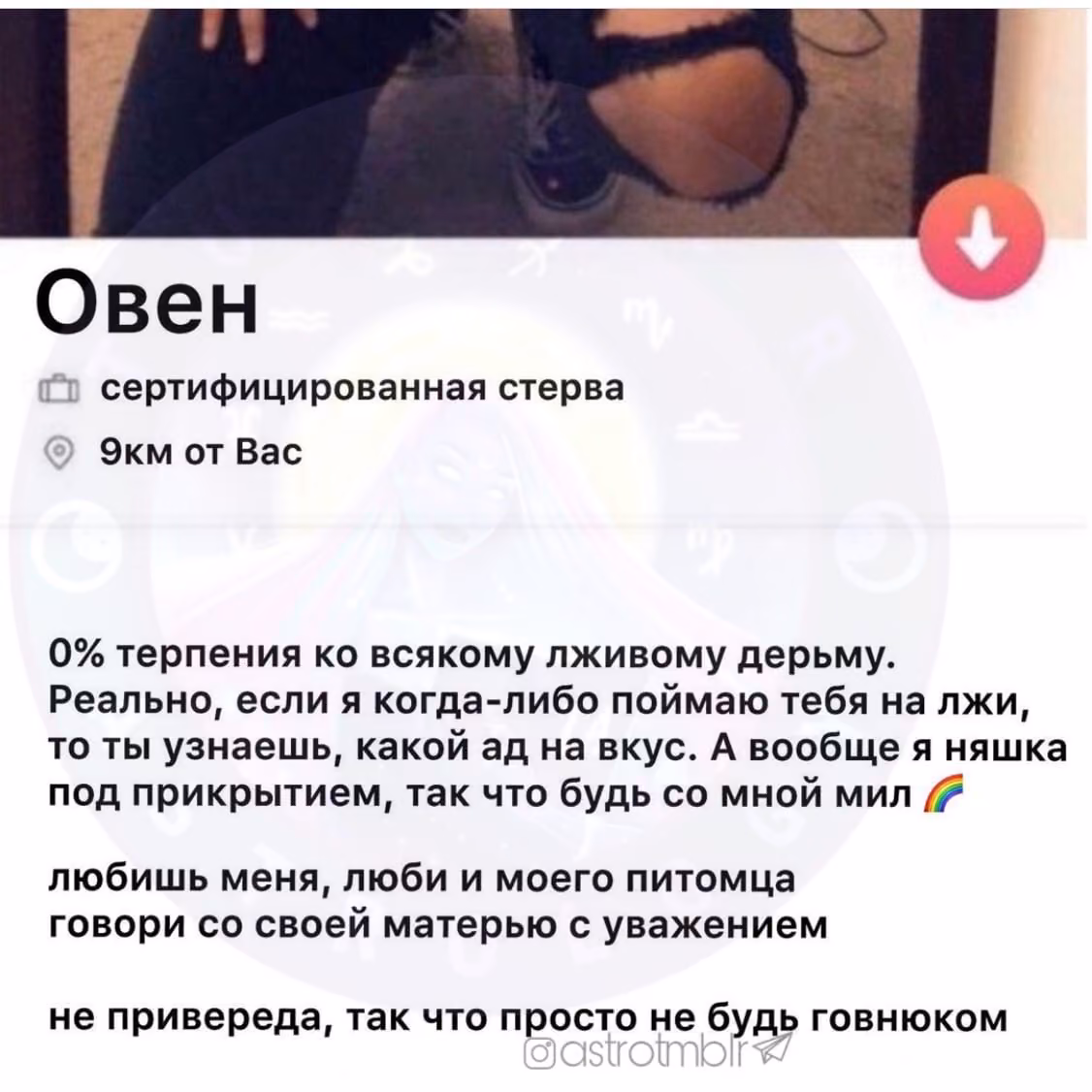95cddb21f349d5299a4ef5706894ee2b.avif