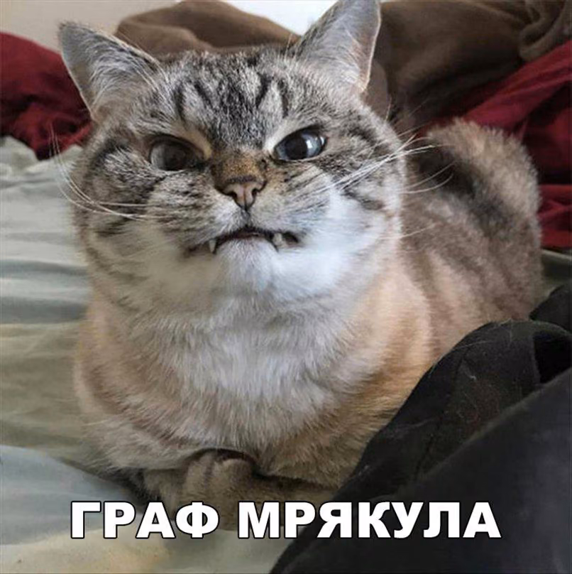 fe474a2941b1f02f9e370131e28bd6d1.jpg