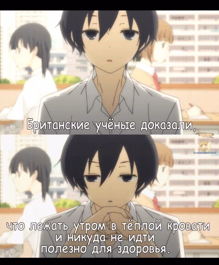 95e960a6f7d75d24b821c14255a0cb8f.avif