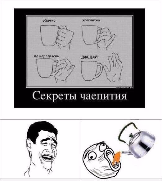 95ea8df7fe1bcd4199477f241ea628a5.jpg