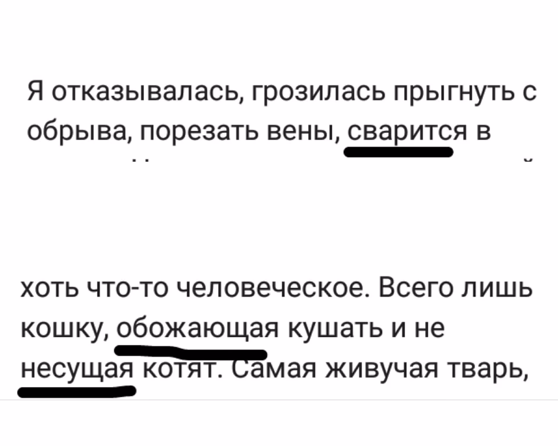 95f644c2738da76f0f5f0393316653aa.avif