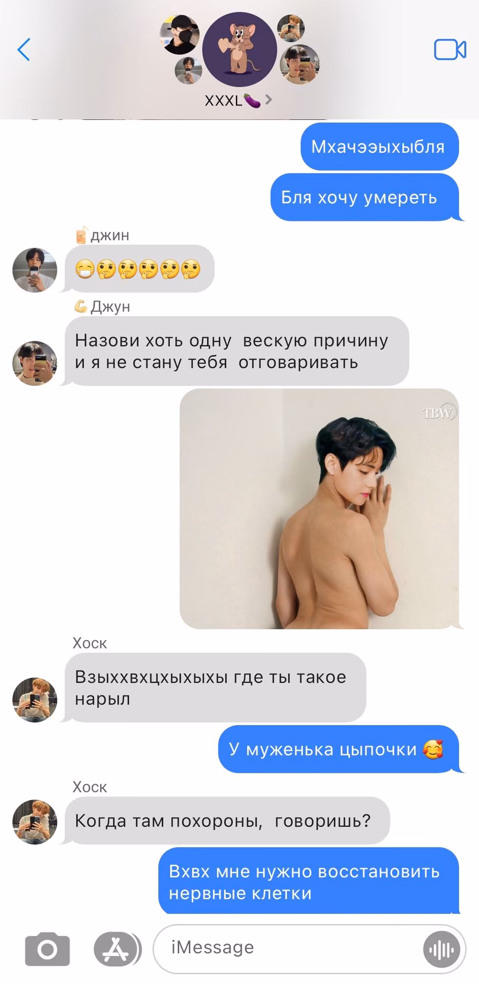95f91753be049173d80243c27703a362.avif