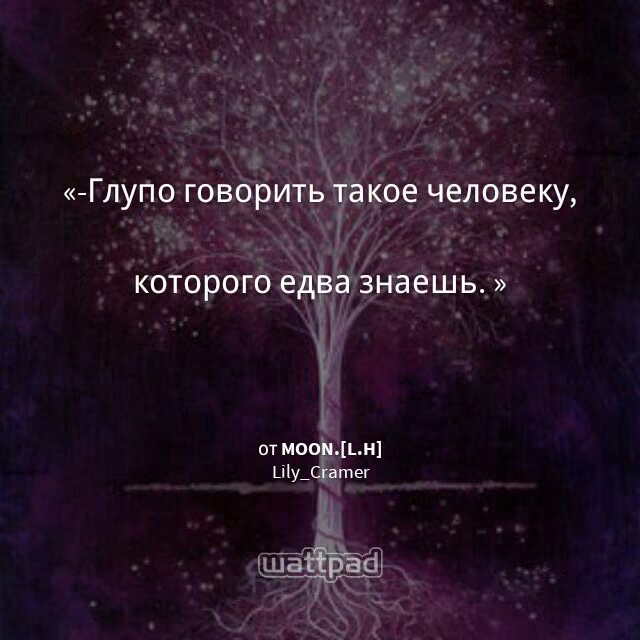 95fbc105276cc86adedeb31b51853104.avif