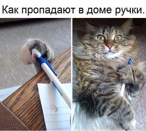 9601bb2638df9e37e8c00e3df10d226b.jpg