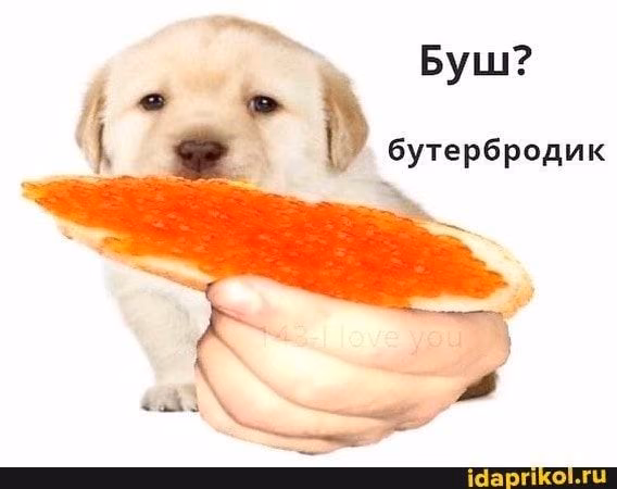 96124b880d54e9af20fa844da172cf51.avif