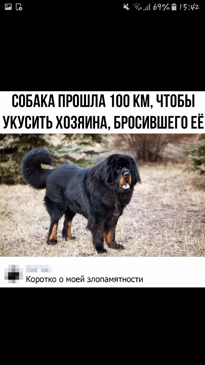 96179cd23774fa951252624c48b59987.jpg
