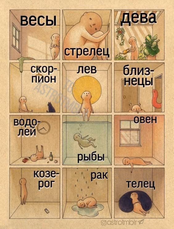 96245010ec5a2adbc1f818113766f647.avif