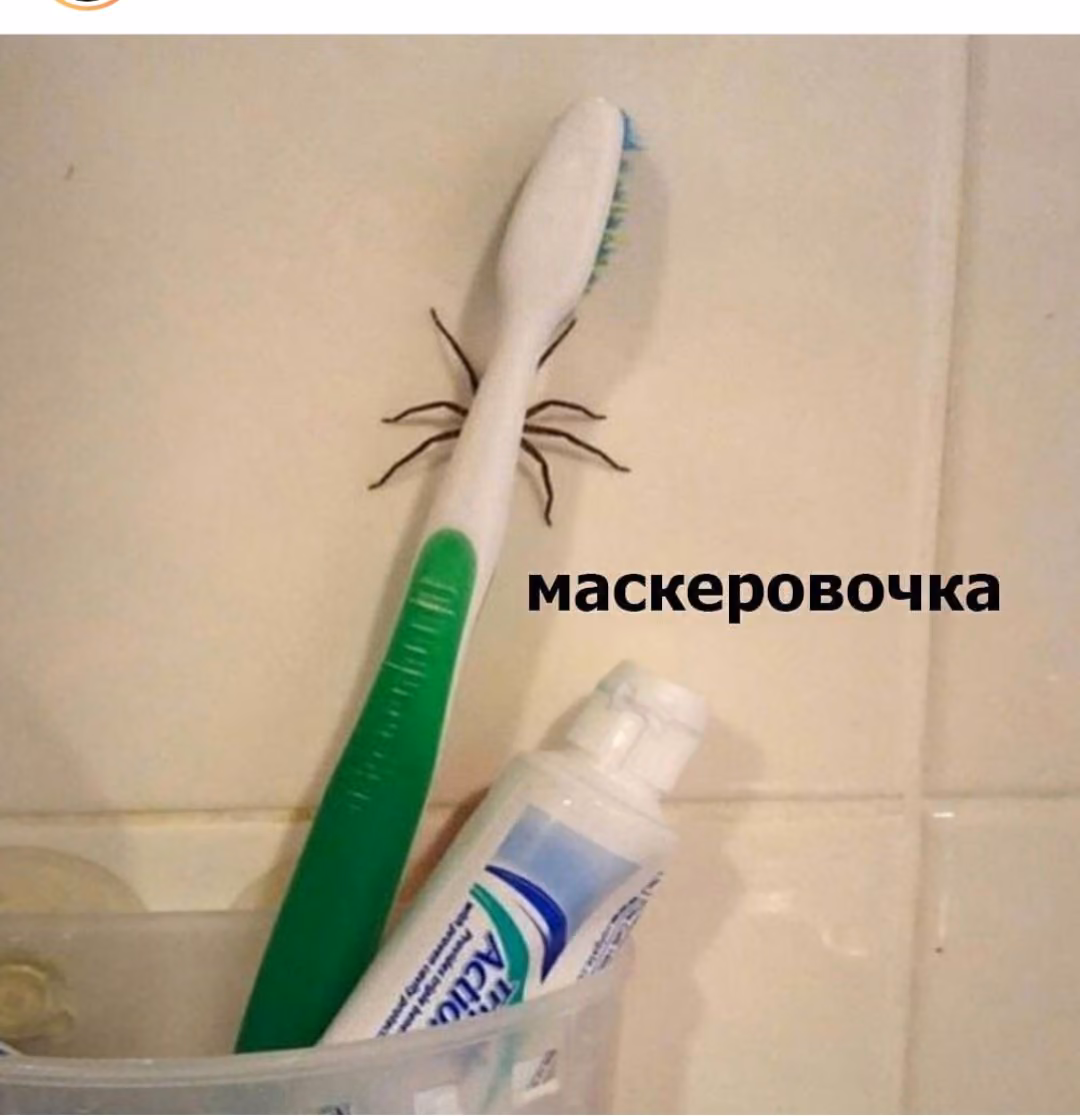 96348eeafea08b3cacfb676d7e09a263.avif
