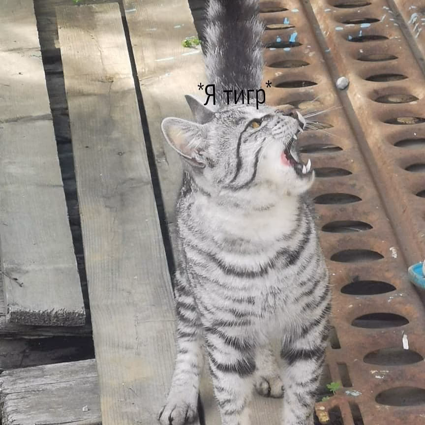 96432f442c30bae6c3a816374275aaa2.avif