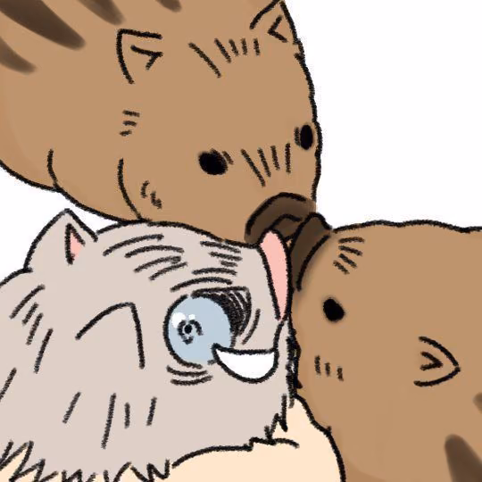9655c27e09c55785518bc8929a57af56.jpg