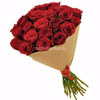 9656e348caf15fb0ddd907110d40605a.avif