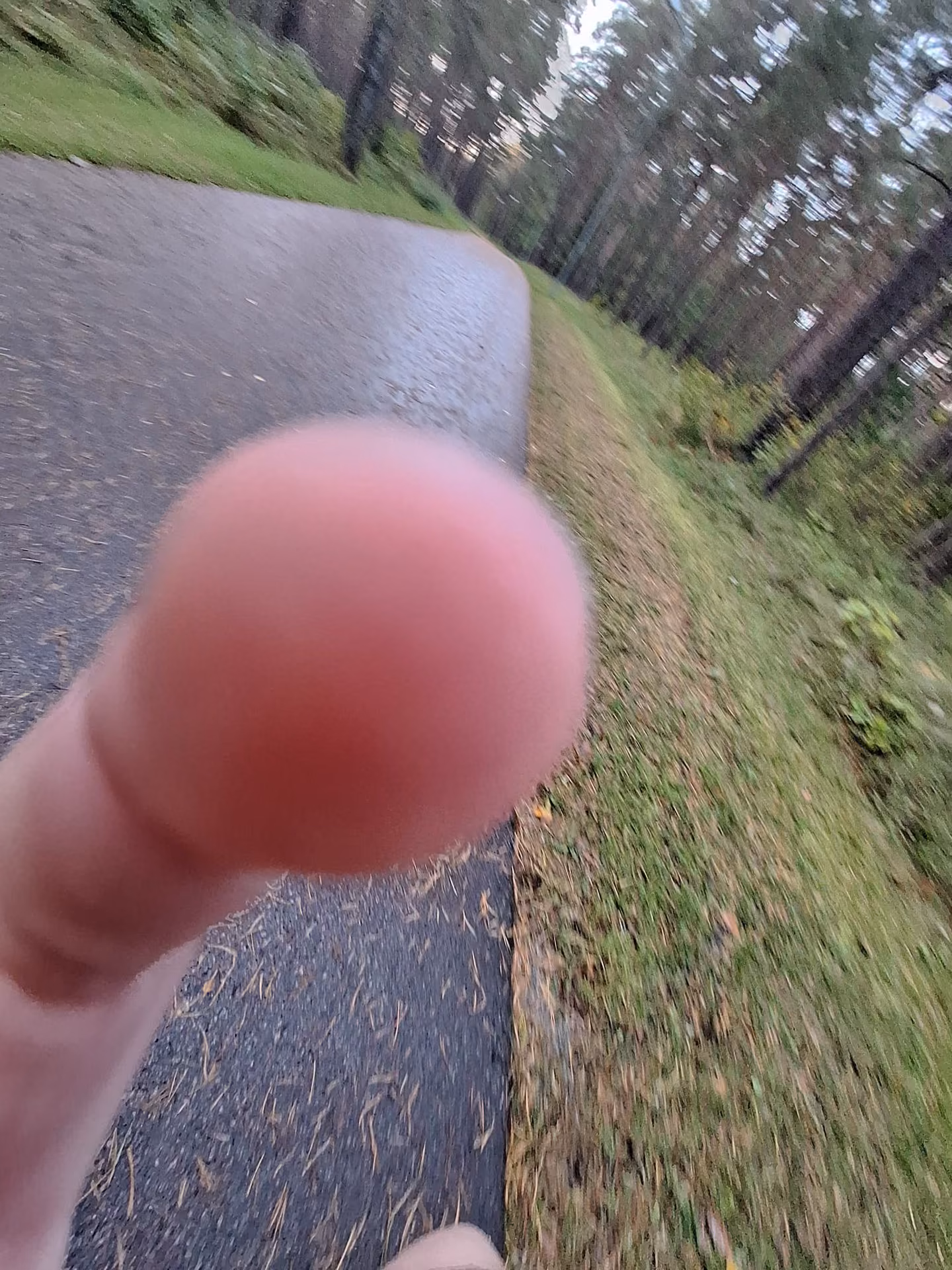 965d2ad107e21fdfc981ba0f21d0c02c.jpg