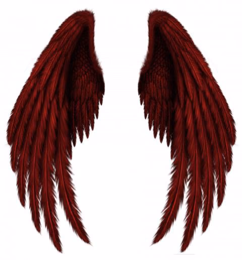 9679e20f3b65c10823945e9bcf80a562.avif