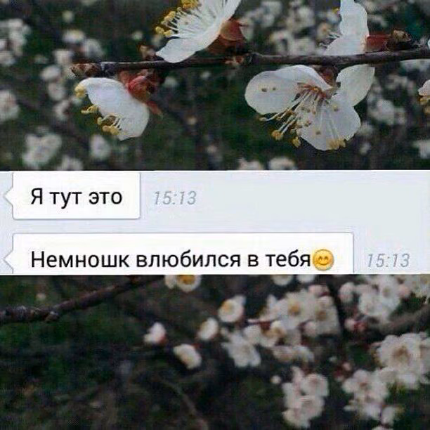 967a76f3a1f7107ef35725f9b42ebe6f.avif