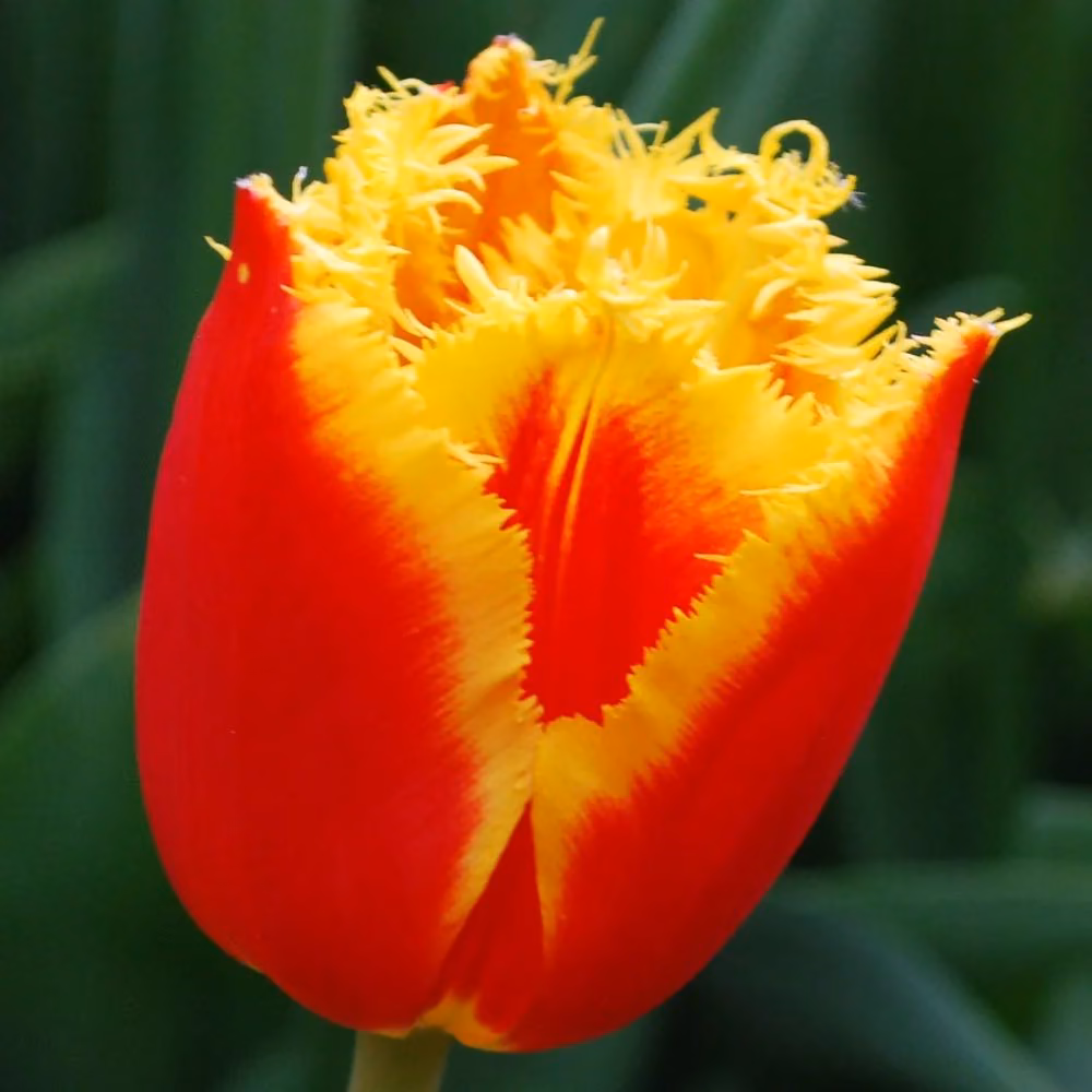 968a3d3154d3754d37c99d49dc8544a5.jpg