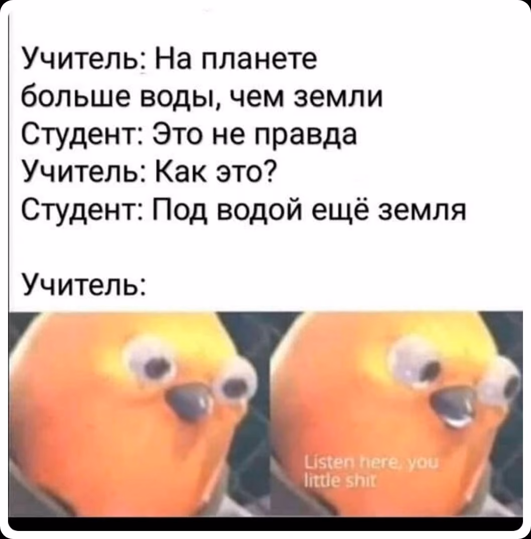 9697f74b92196e9fbc5a2b11c1d66f87.avif