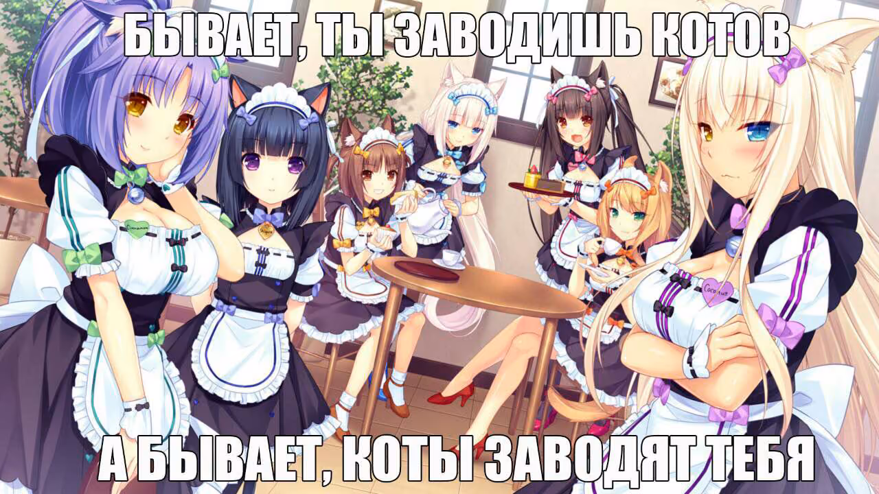 9699c23cf076d465fc39ab399005508e.jpg