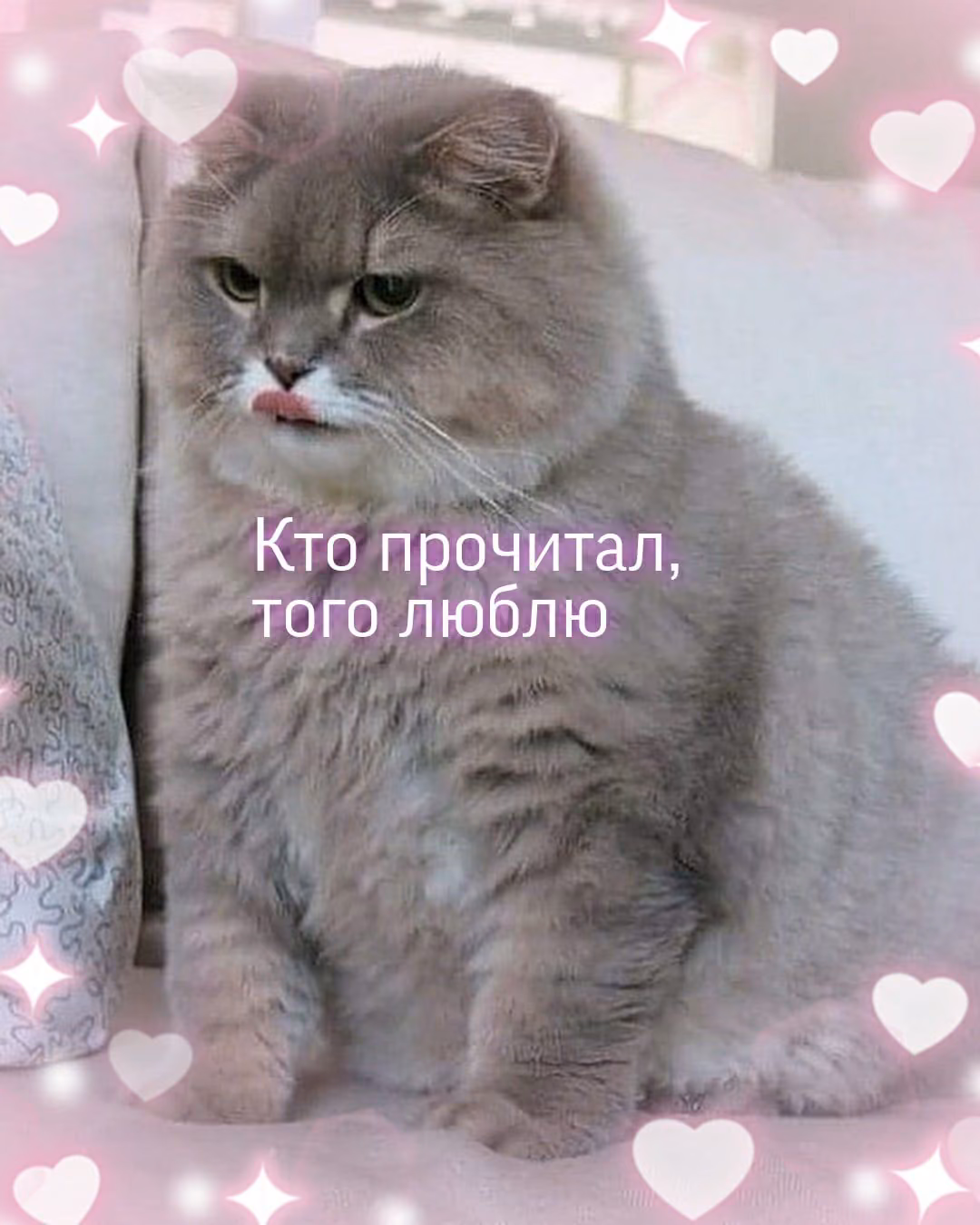 96a0a5bc5d83c66898e2fd37d79b72b4.jpg