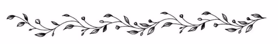 96a78be7e2e1ce027ca18979407211b4.jpg