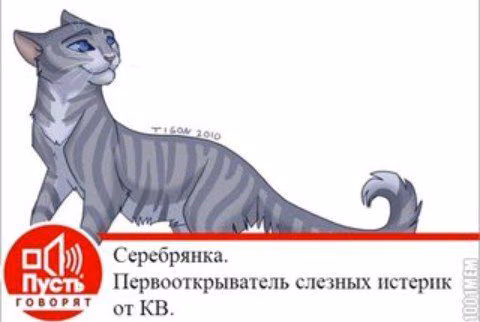 96bf0be4e8c4c37c365f44d38368f5e4.avif