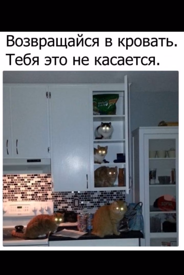 96dbaa32a3f0a9dfe5dd923f52cab2a7.jpg