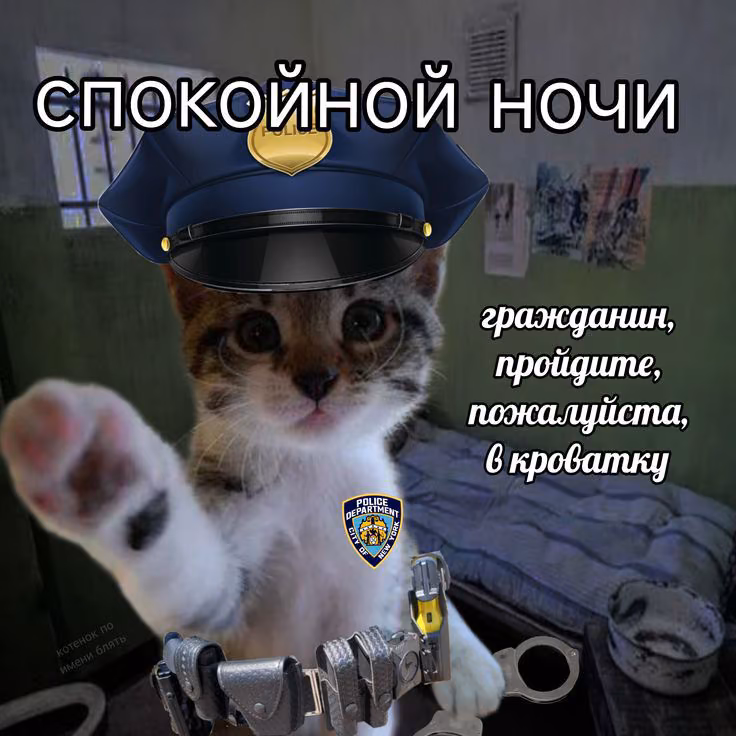 96dd0f1210935a8e8d0a6b0762ea4b54.jpg