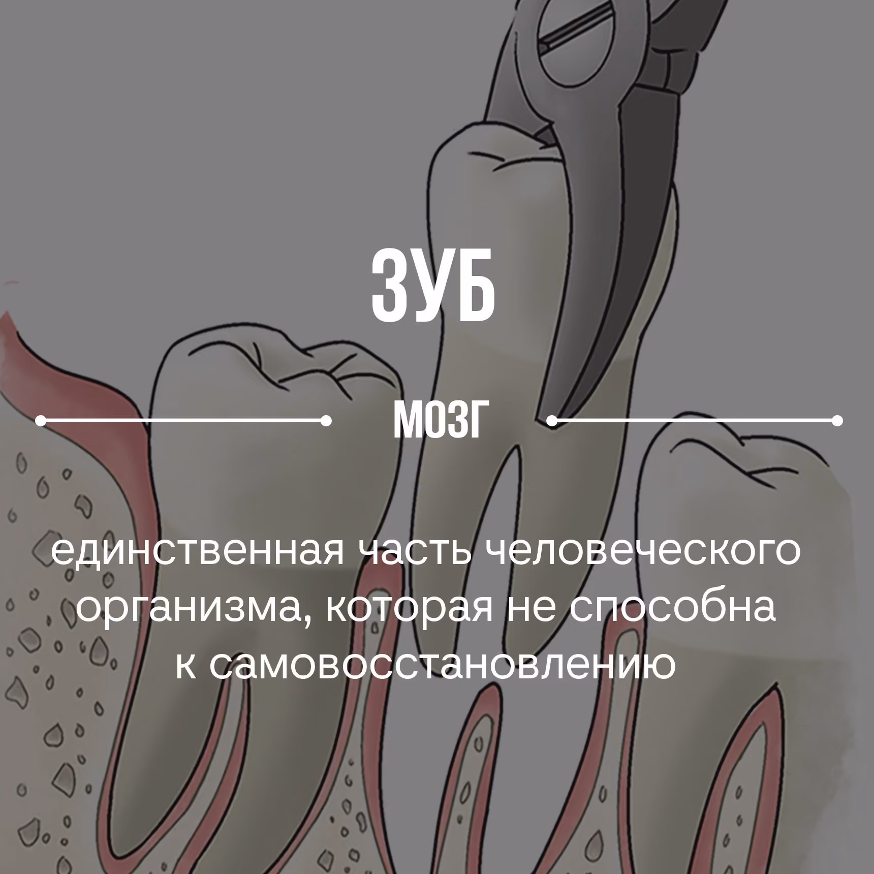 970a38ef9aee1b097f642903d5c42304.jpg