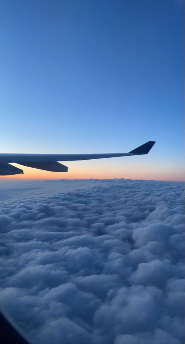 971e6f710ab5471b70a9a14d19dd774e.avif