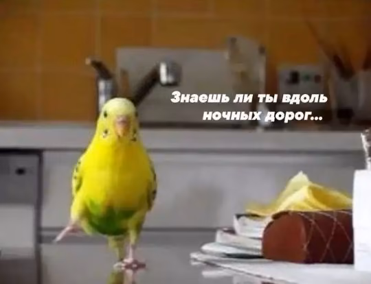 9724dd7fe84e749161c8221ea71796fd.jpg