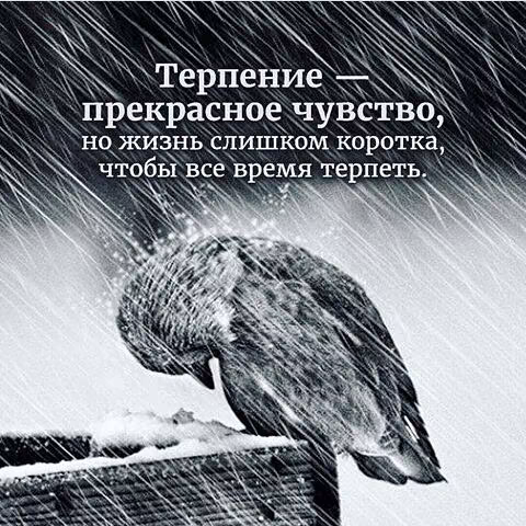 973df9efee5ac468da2a384f496e3ecc.jpg