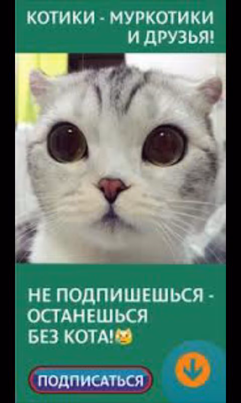 9758cc7c55838204481fde2469494916.avif