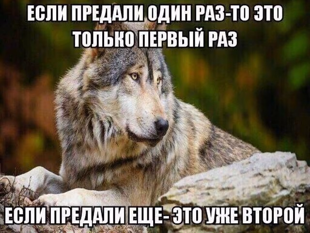 975de9bb72336a298581a72ae74b6141.avif