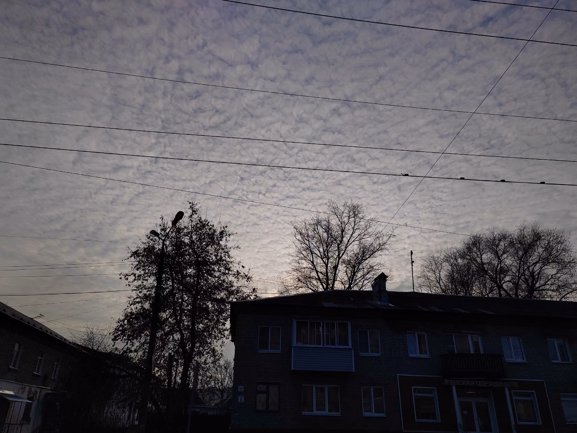 97955a4bf4c9ed6cc27b9c027d378c16.jpg